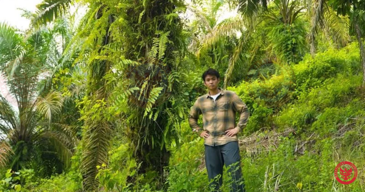 Jerhemy Owen Bersama Warga Pulihkan Hutan Lindung, 10 Hektare Kebun Sawit Ilegal Ditebang